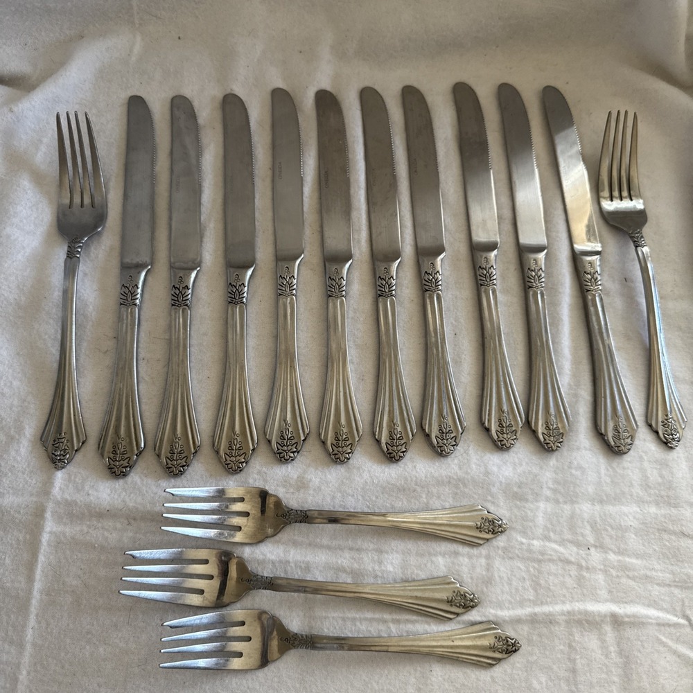 15 Piece Oneida OHS377 3 Salad 2 Dinner Forks 10 Knife Fan Top Floral Design